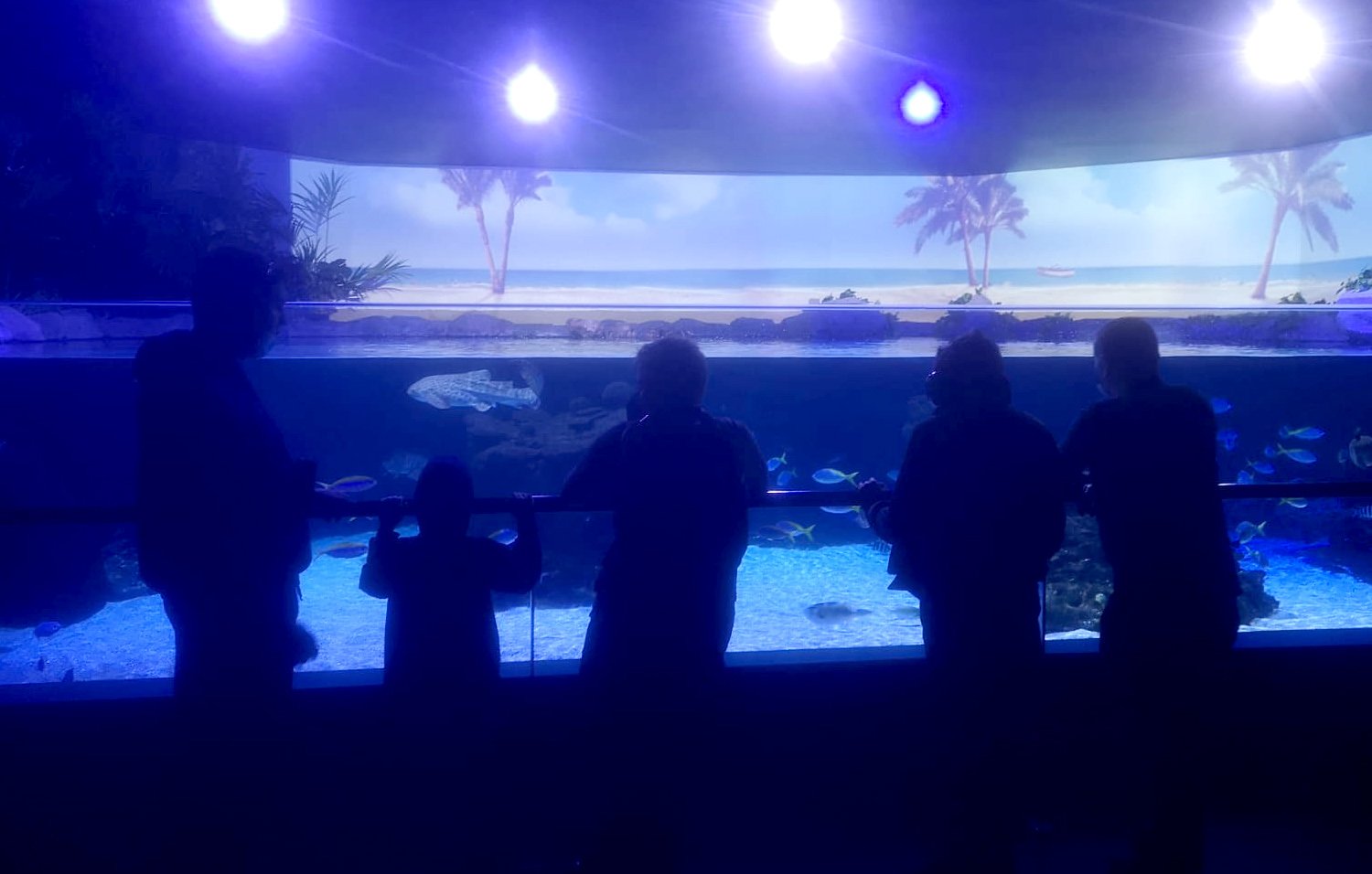 B1 P Reunidos 2