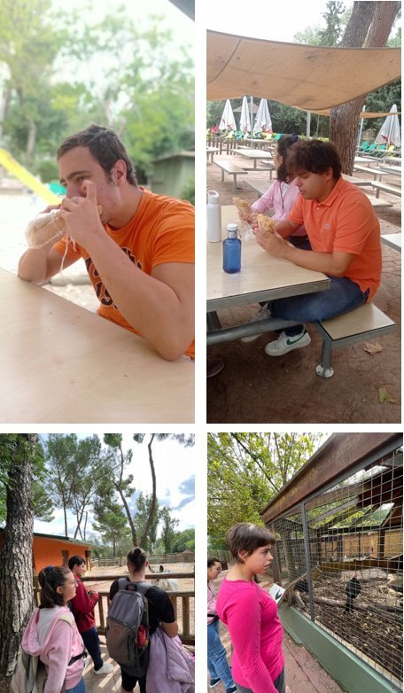 aucavi en el zoo 3