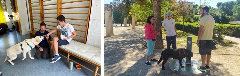 un año mas 1