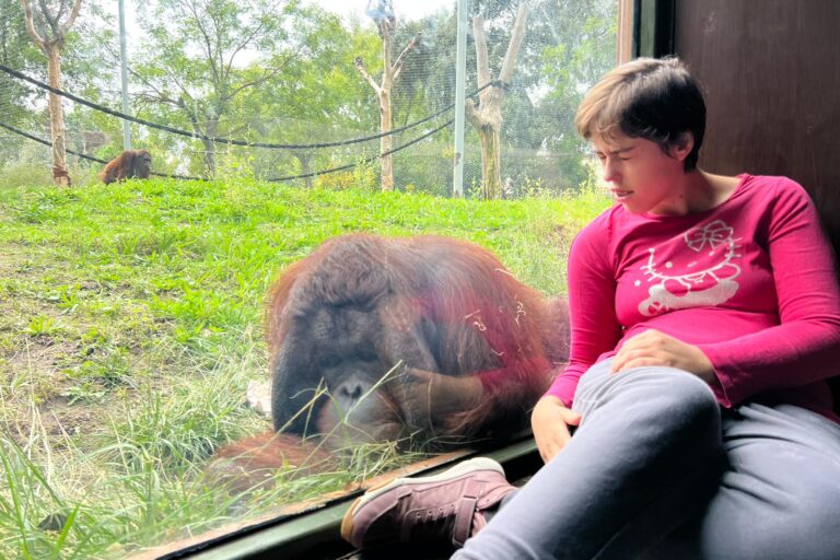 El zoo- un lugar mágico para los usuarios del Centro de Día 6